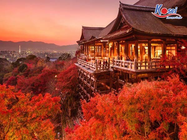 Choáng ngợp trước cảnh cung đường tràn ngập lá phong đỏ ở Nhật Bản tuyệt đẹp 3
