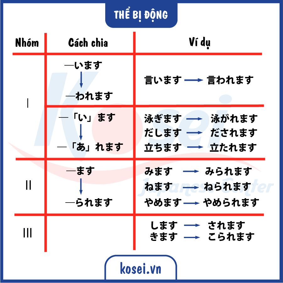 các thể tiếng Nhật, thể chi tiết tiếng nhật, thể ます, thể る, thể て, thể た, bảng chia động từ tiếng nhật, bảng chia thể tiếng nhật n5, chia động từ tiếng nhật