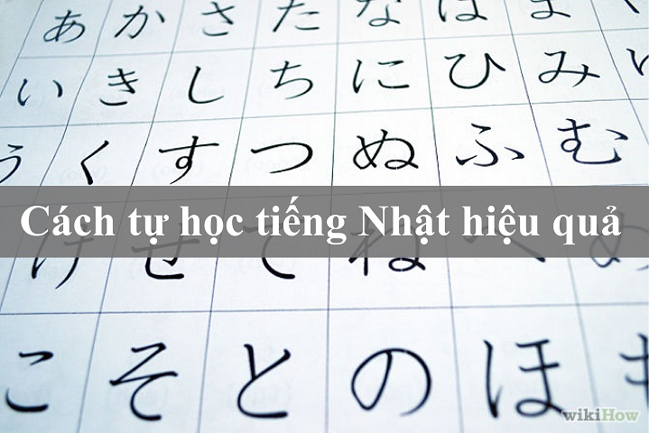 cách tự học tiếng nhật hiệu quả, học tiếng nhật sao cho hiệu quả