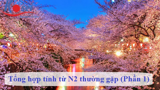 Tổng Hợp Tính Từ N2 Thường Gặp
