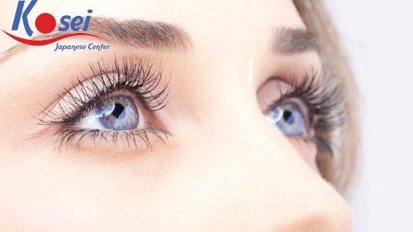 Tổng Hợp Từ Vựng Tiếng Nhật Về Các Bệnh Liên Quan Đến Mắt
