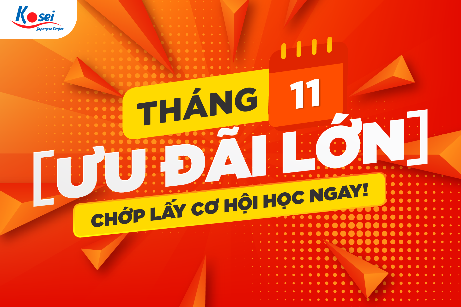 Kosei ƯU ĐÃI KHOÁ HỌC tiếng Nhật tháng 11