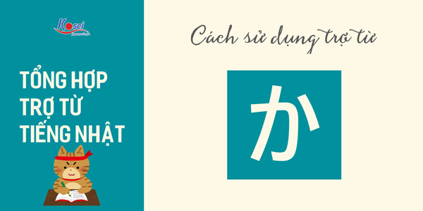 trợ từ trong tiếng nhật N5 đến N1
