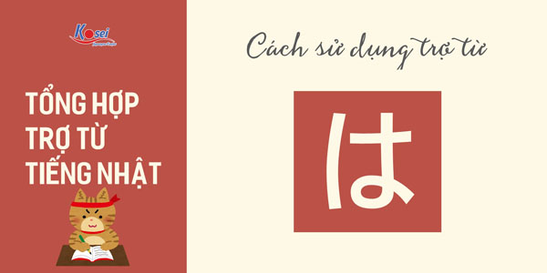 trợ từ trong tiếng nhật N5 đến N1