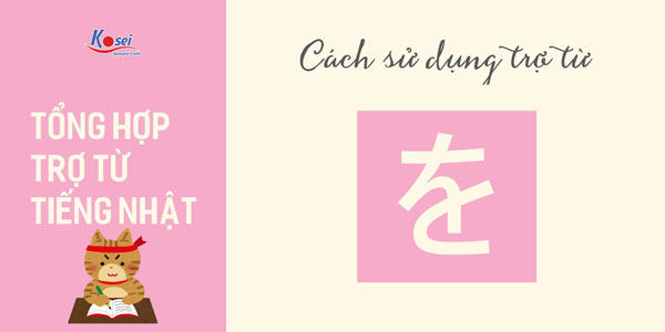 trợ từ trong tiếng nhật N5 đến N1