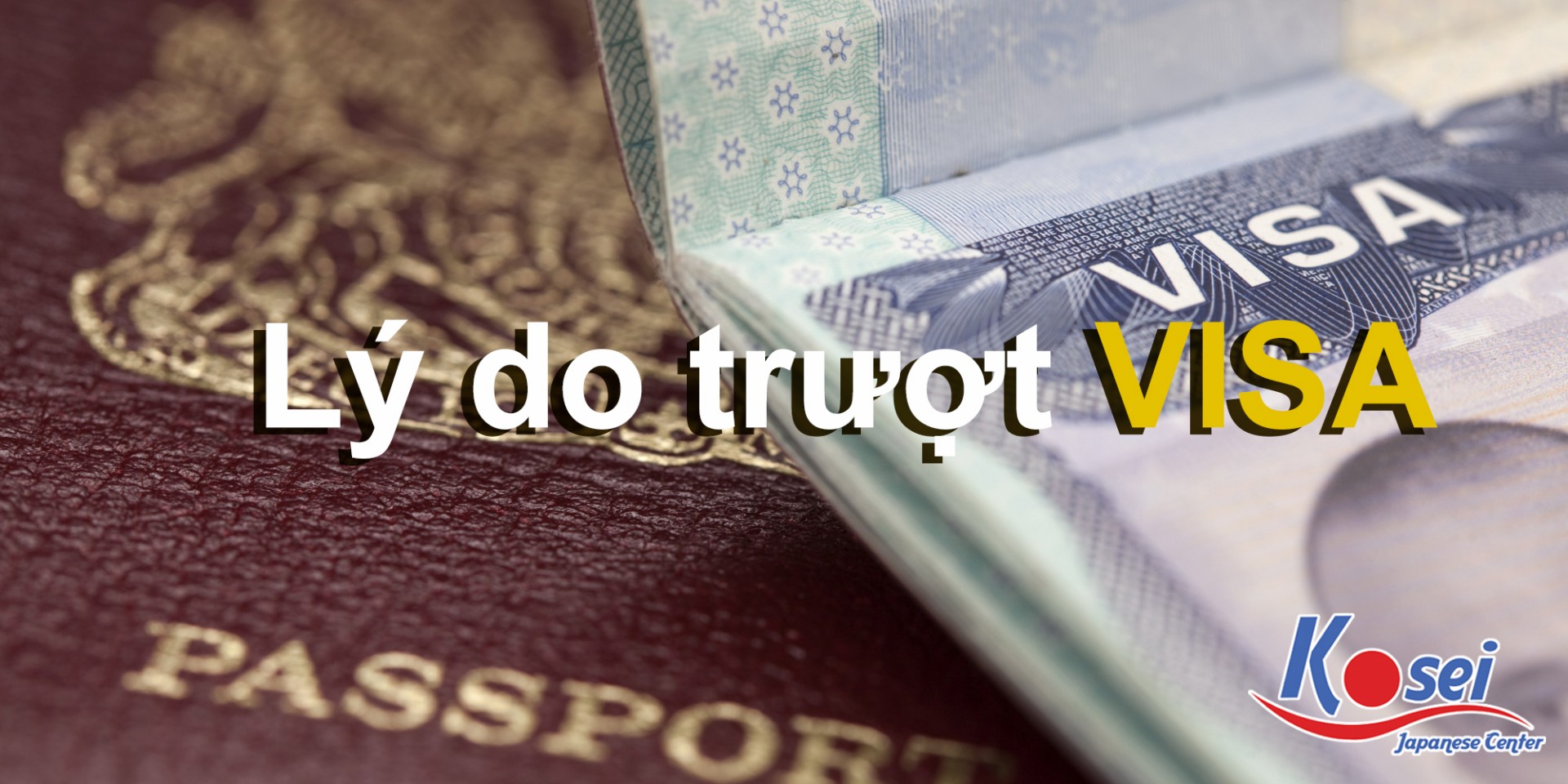 Giải Mã Lý Do Trượt VISA