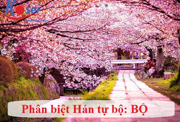 các hán tự bộ bộ