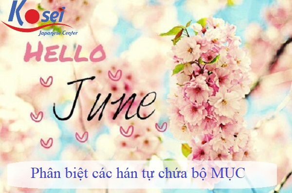 Phân biệt các Hán tự (Kanji) bộ MỤC