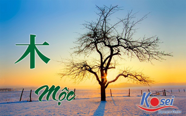 từ vựng kanji liên quan đến mộc 木