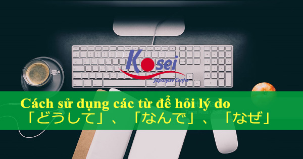 Cách Sử Dụng Các Từ Để Hỏi Lý Do 「どうして」、「なんで」、「なぜ」