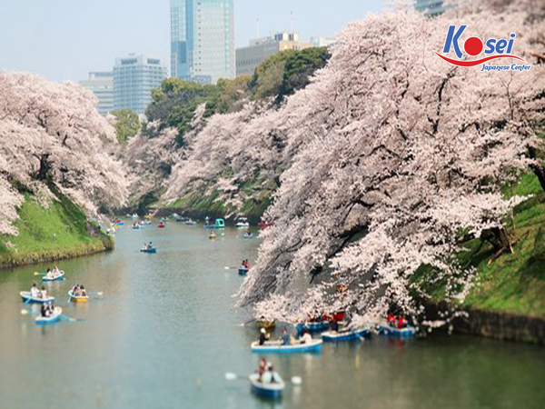 câu không nên nói trong tiếng nhật