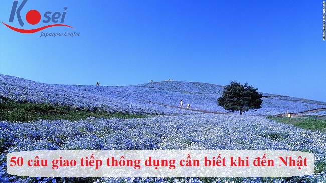 49 câu giao tiếp thông dụng cần biết khi đến Nhật