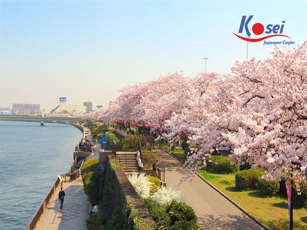 câu không nên nói trong tiếng nhật
