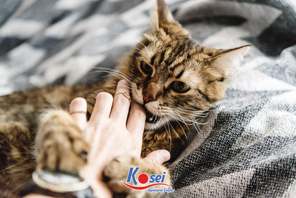 9 câu không nên nói trong tiếng Nhật phải nắm lòng