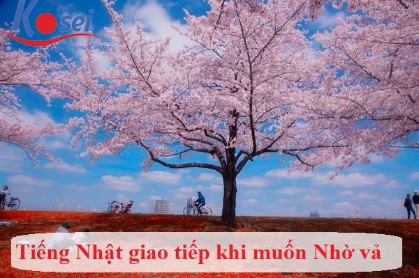Tiếng Nhật giao tiếp trong văn phòng: Khi muốn nhờ vả người khác