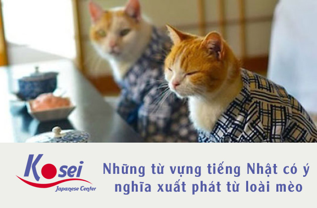 Những từ lóng trong tiếng Nhật về từ loài mèo