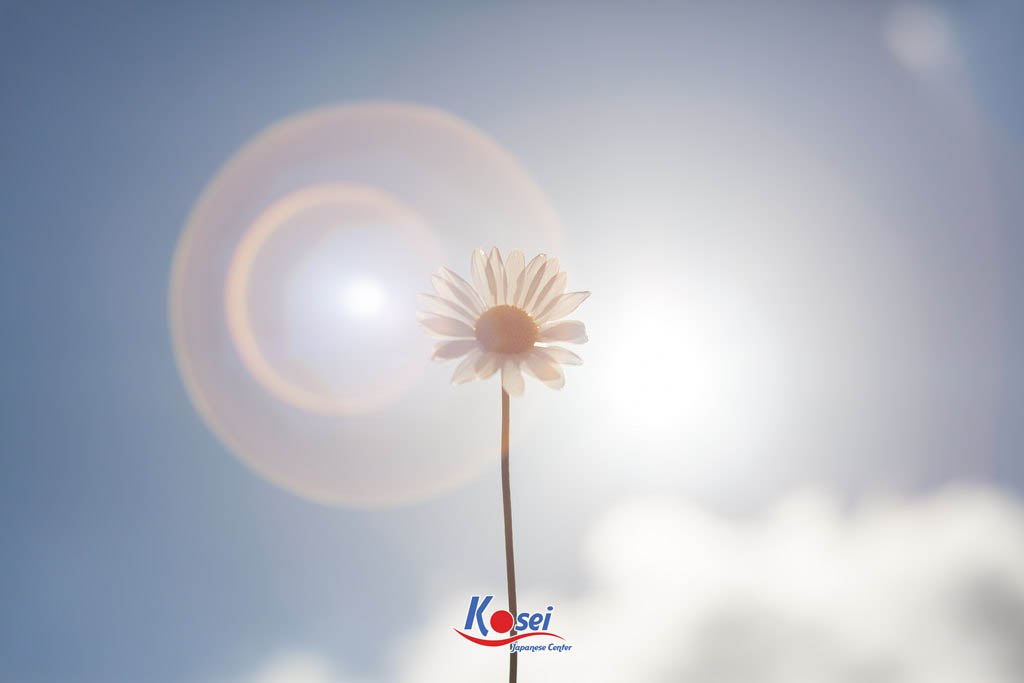 Học tiếng Nhật qua bài hát 花は咲く（Hana wa saku)