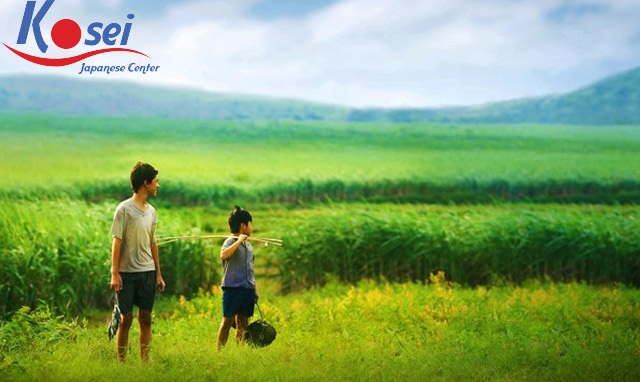 Học tiếng Nhật qua bài hát: Tôi thấy hoa vàng trên cỏ xanh