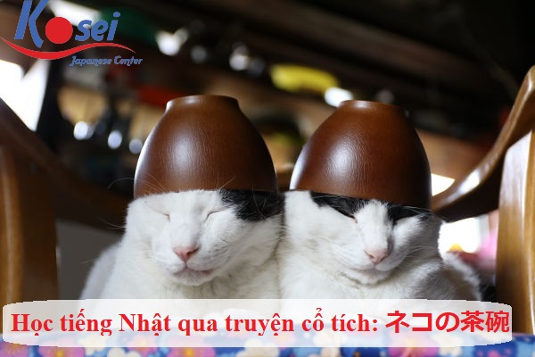 Học tiếng Nhật qua truyện cổ tích: Bát của mèo - ネコの茶碗