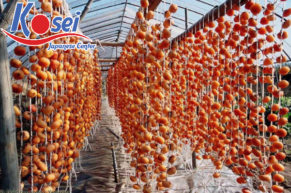 hoa quả bằng tiếng Nhật, từ vựng trái cây tiếng nhật, từ vựng hoa quả tiếng nhật