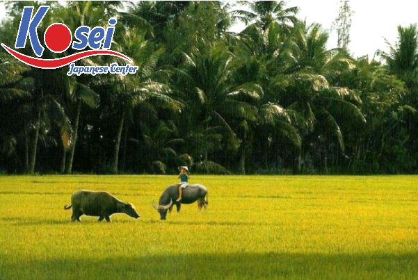 Từ vựng tiếng Nhật chủ đề quê hương