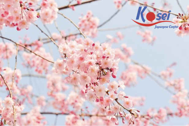 động từ tiếng nhật cơ bản