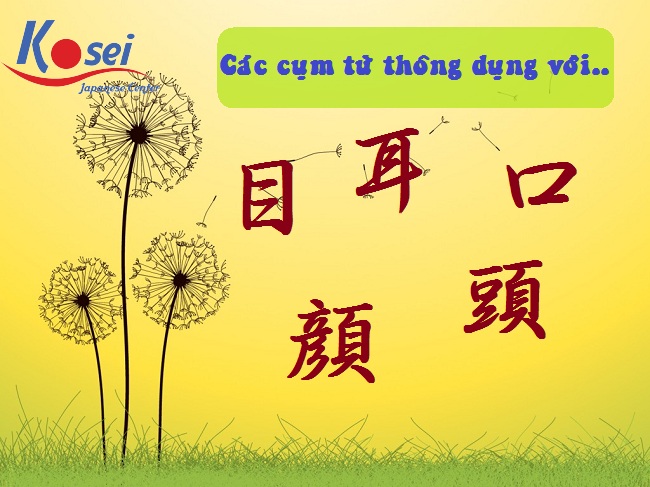 Từ vựng tiếng Nhật 「目」、「耳」、「口」、「顔」、「頭」