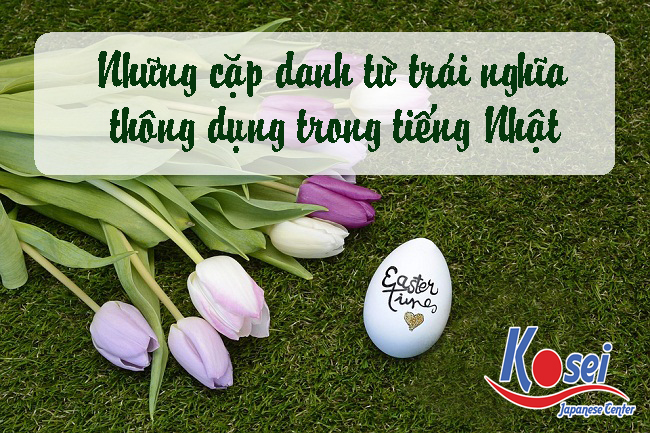 Những Cặp Danh Từ Trái Nghĩa Thông Dụng Trong Tiếng Nhật