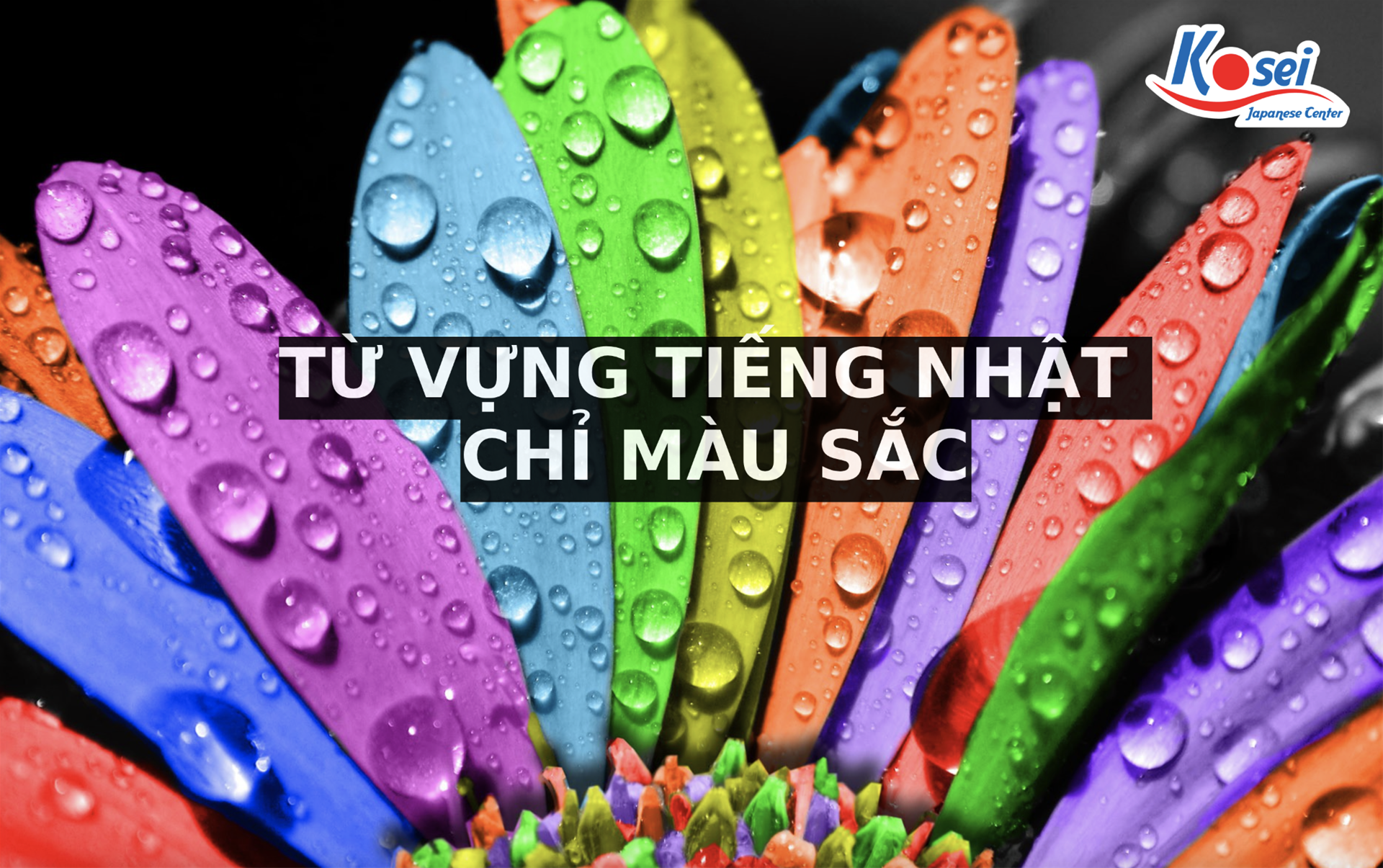 45 Từ Vựng Tiếng Nhật Chỉ Màu Sắc