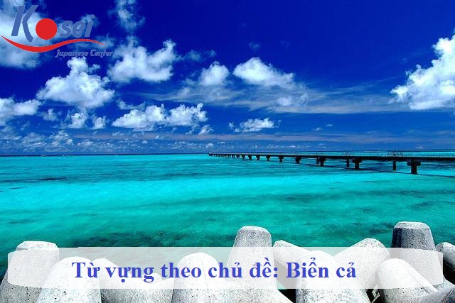 (Tổng Hợp) 40 Từ Vựng Tiếng Nhật Về Biển Cả