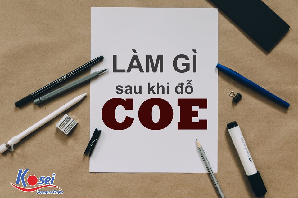 Đỗ COE xong thì làm gì?