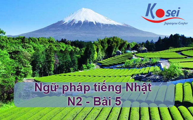 ngữ pháp tiếng nhật n2 bài 5