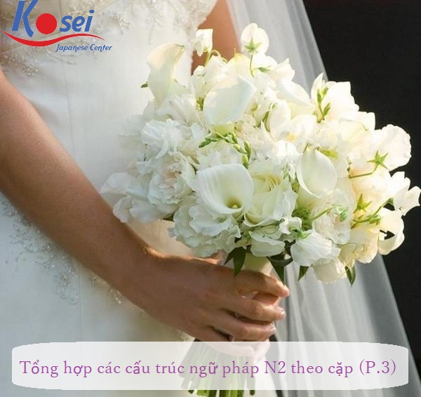 ngữ pháp n2 theo cặp