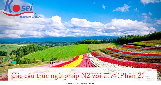 ngữ pháp こと, こと ngữ pháp N2, mẫu ngữ pháp こと, tổng hợp ngữ pháp こと