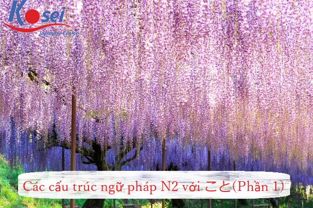 ngữ pháp n2 với こと