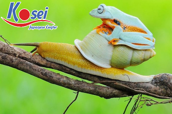 ngữ pháp n3 hay dùng