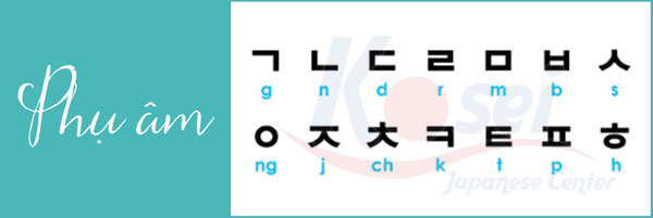 tiếng nhật và tiếng hàn cái nào khó hơn, tiếng nhật và tiếng hàn có giống nhau không, tiếng nhật và tiếng hàn tiếng nào dễ hơn, học song song tiếng nhật và tiếng hàn, học tiếng hàn và tiếng nhật cùng lúc, tiếng nhật và tiếng hàn, học song song tiếng nhật và tiếng hàn, học tiếng hàn và tiếng nhật cùng lúc, nên học tiếng nhật hay tiếng hàn