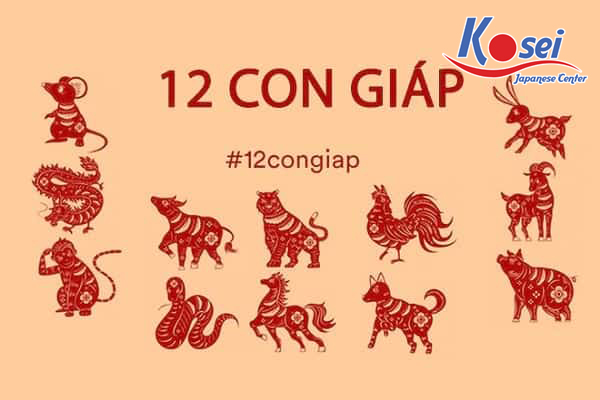 những người tuổi Hợi