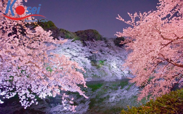 18 công viên đẹp nhất tại Tokyo