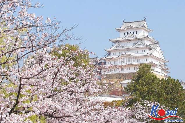 lễ hội hanami, lễ hội hanami nhật bản, nguồn gốc lễ hội hanami, ý nghĩa của lễ hội hanami, lễ hội hoa anh đào hanami, lễ hội ngắm hoa anh đào hanami
