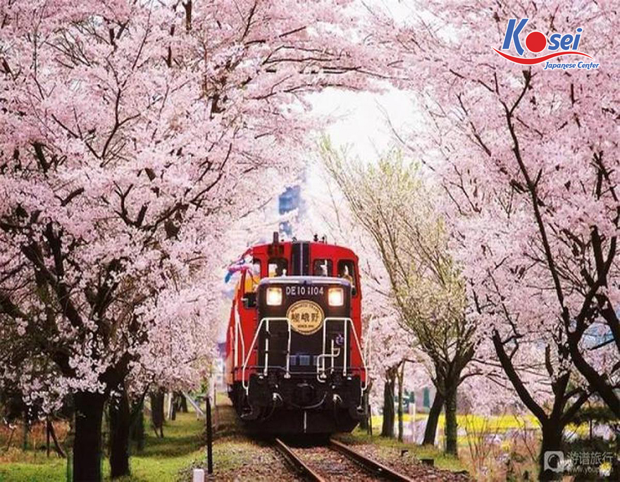 Kyoto và 8 cung đường hoa anh đào Nhật Bản đẹp bất tận