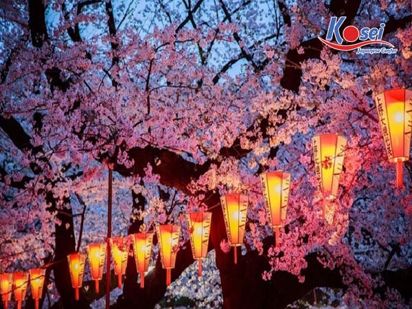 đường hoa anh đào nhật bản