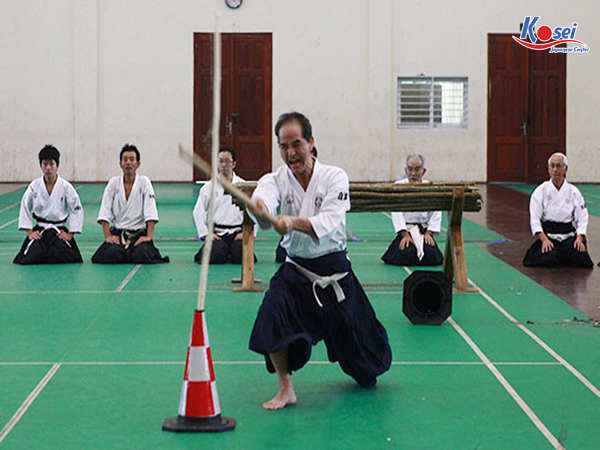 môn võ aikido của nhật bản