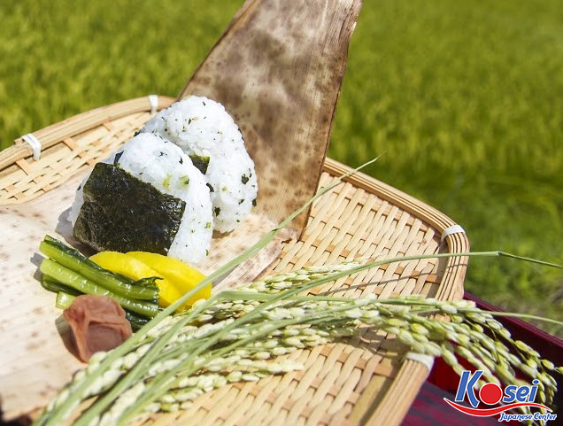 gạo nhật bản, các loại bánh gạo nhật bản, các loại gạo ở nhật bản, các loại gạo của nhật bản