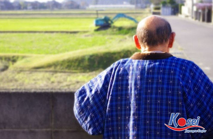 áo hanten của Nhật Bản, áo hanten nhật