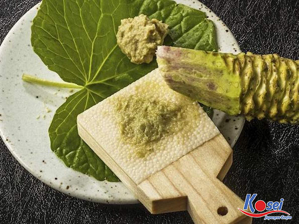 mù tạt nhật bản làm từ gì, cây mù tạt nhật bản, mù tạt tươi nhật bản, mù tạt của nhật bản, mù tạt bột nhật bản, cây mù tạt ở nhật bản, mù tạt nhật, mù tạt nhật ngon, cây mù tạt nhật