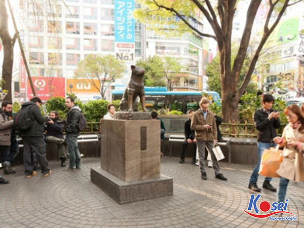 chú chó hachiko, chú chó hachiko nhật bản, câu chuyện về chú chó hachiko, cảm nhận về chú chó hachiko, câu chuyện chú chó hachiko