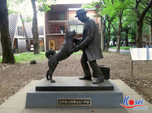 Câu chuyện chú chó Hachiko Nhật Bản - Huyền thoại về sự trung thành