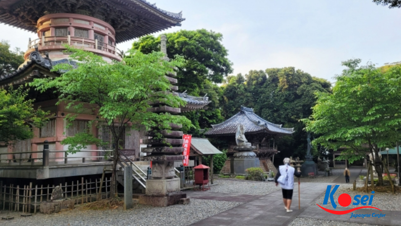 đảo shikoku, du lịch đảo shikoku