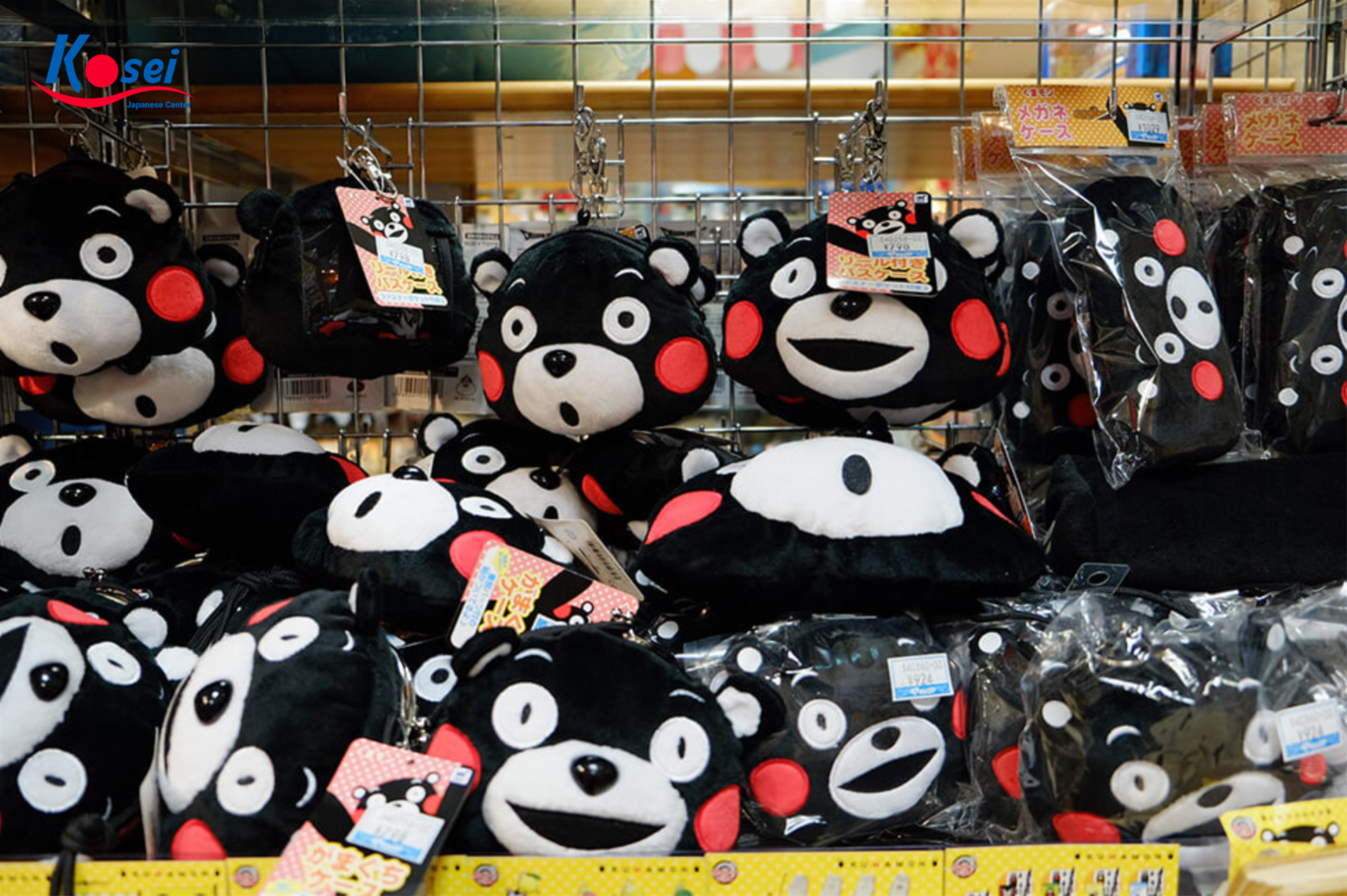 gấu kumamon, gấu kumamon là gì, gấu kumamon ở đâu